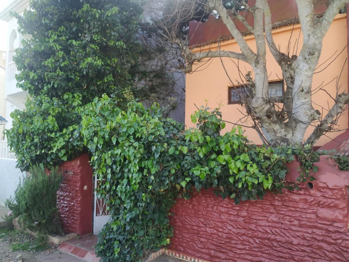 Dar El Pirata Hostel Asilah Bagian luar foto